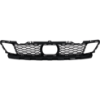Picture of Bumper Grille