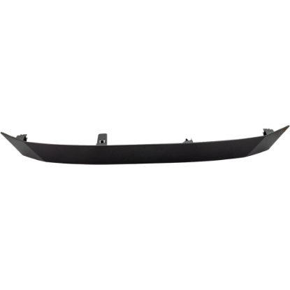 Picture of Grille Trim