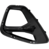 Picture of Fog Light Trim
