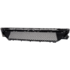 Picture of Bumper Grille