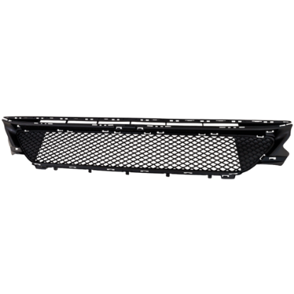 Picture of Bumper Grille