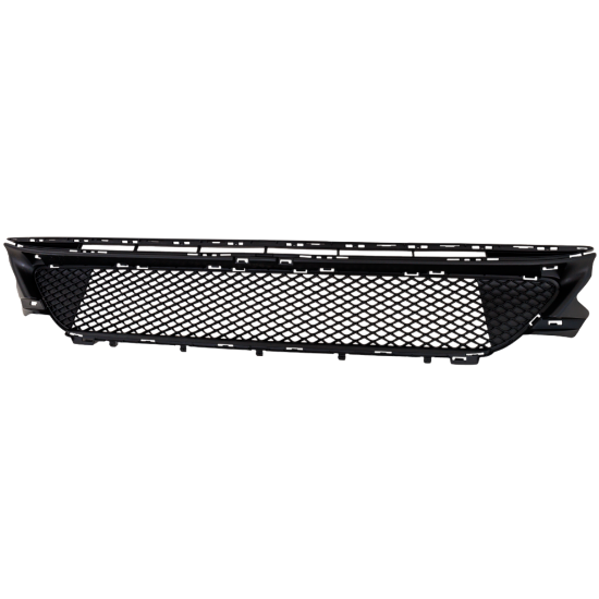 Picture of Bumper Grille