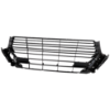 Picture of Grille Assembly