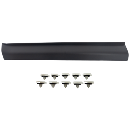 Picture of Door Molding and Beltlines