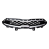 Picture of Grille Assembly