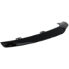 Picture of Bumper Trim
