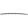 Picture of Grille Trim