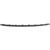 Picture of Grille Trim