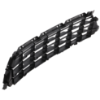 Picture of Bumper Grille