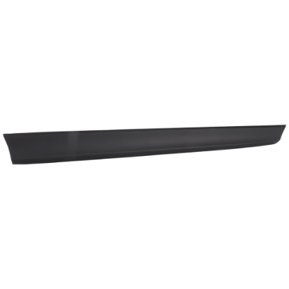 Picture of Door Molding and Beltlines