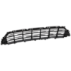 Picture of Bumper Grille