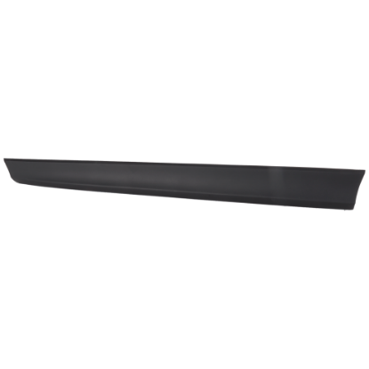 Picture of Door Molding and Beltlines