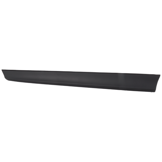 Picture of Door Molding and Beltlines