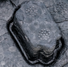 Picture of Bumper Absorber