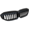 Picture of Grille Assembly
