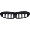 Picture of Grille Assembly