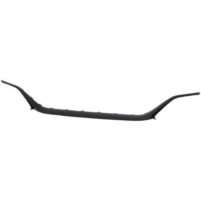 Picture of Grille Trim