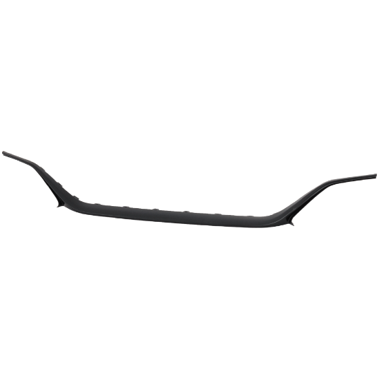 Picture of Grille Trim