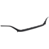 Picture of Grille Trim