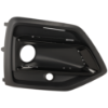 Picture of Fog Light Trim