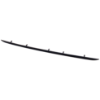 Picture of Bumper Trim