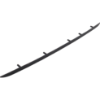 Picture of Bumper Trim