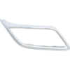 Picture of Bumper Trim
