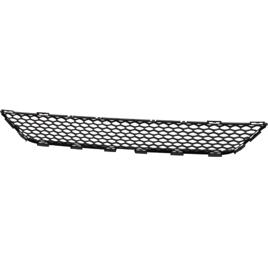 Picture of Bumper Grille
