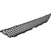 Picture of Bumper Grille