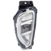 Picture of Fog Light