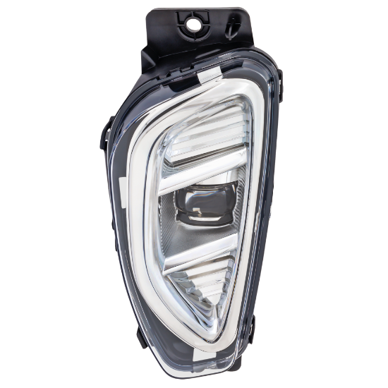 Picture of Fog Light