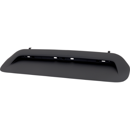 Picture of Hood Scoop