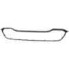 Picture of Grille Assembly