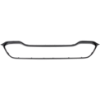 Picture of Grille Assembly
