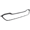 Picture of Grille Assembly