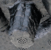 Picture of Bumper Absorber