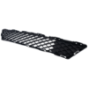 Picture of Bumper Grille