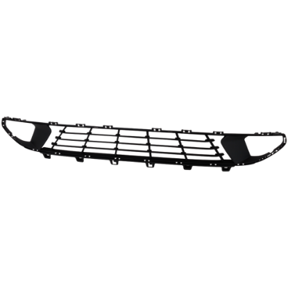 Picture of Bumper Grille