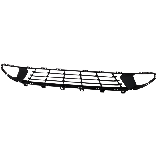 Picture of Bumper Grille