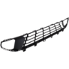 Picture of Bumper Grille