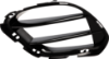 Picture of Bumper Grille