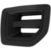 Picture of Fog Light Cover