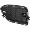 Picture of Grille Trim