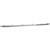 Picture of Bumper Trim