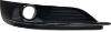 Picture of Fog Light Trim