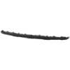 Picture of Bumper Trim