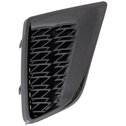 Picture of Bumper Grille