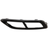 Picture of Bumper Trim