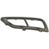Picture of Bumper Trim
