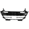 Picture of Bumper Grille